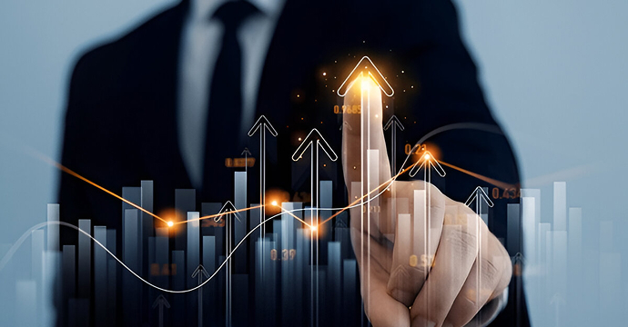 Portfolio company advisory